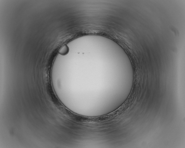 X0000111480743200907141042