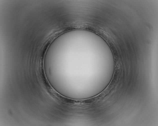 X0000111480744200907141042