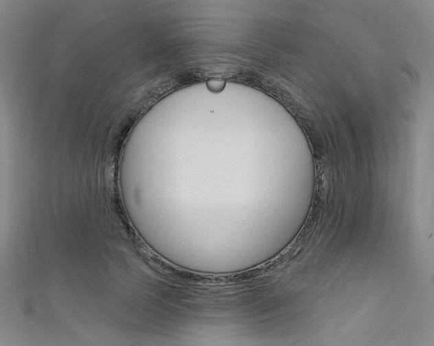 X0000111480745200907141042