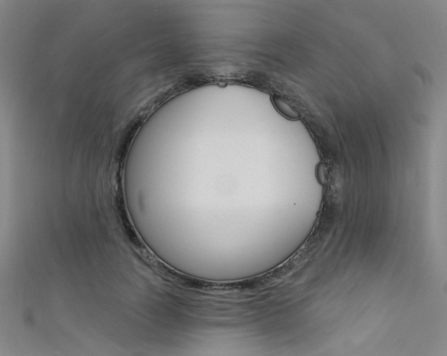 X0000111480746200907141042