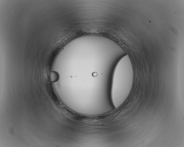 X0000111480747200907141042