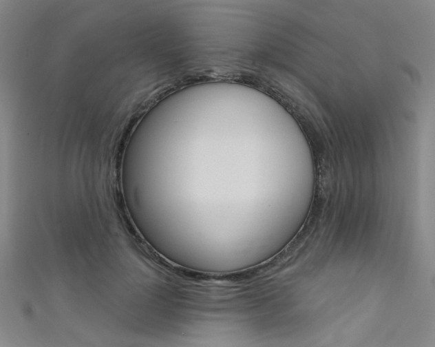 X0000111480748200907141042