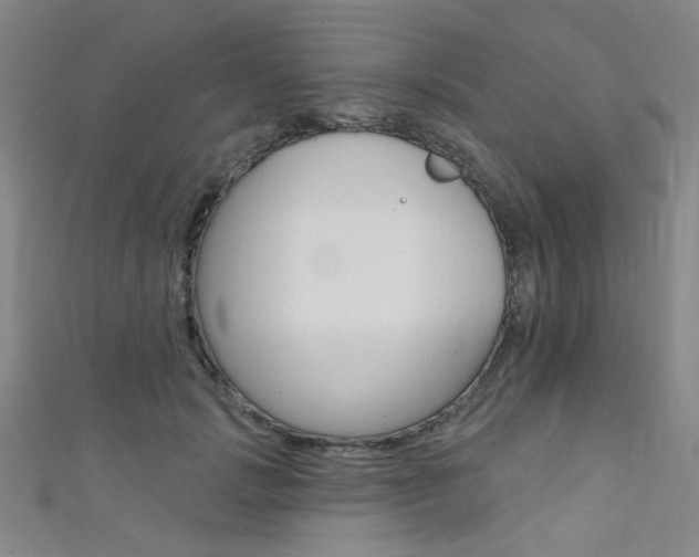 X0000111480749200907141042