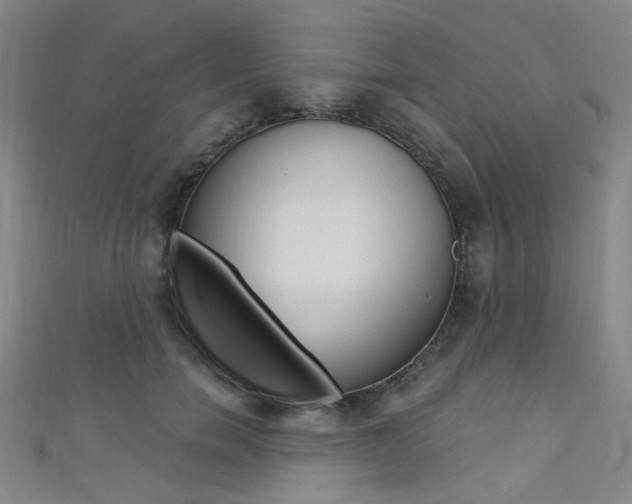 X0000111480750200907141042