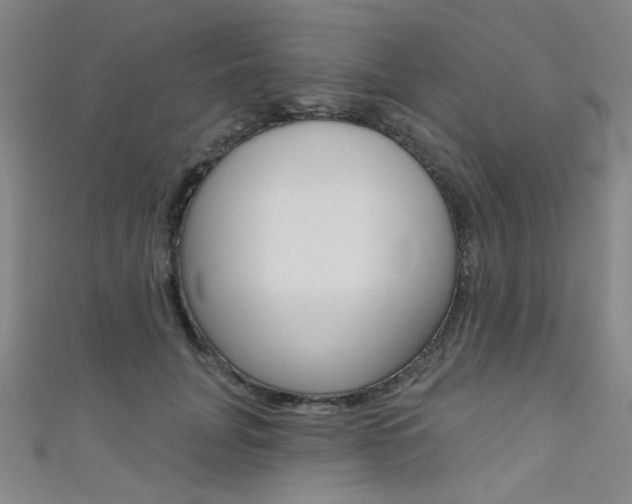 X0000111480751200907141042