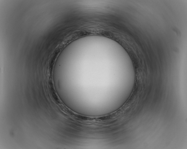 X0000111480752200907141042