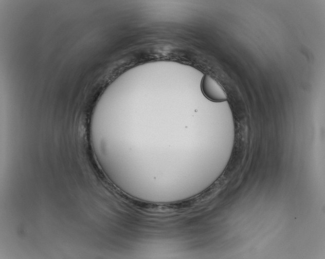 X0000111480754200907141042