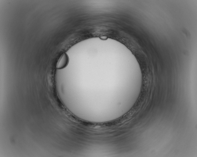 X0000111480755200907141042