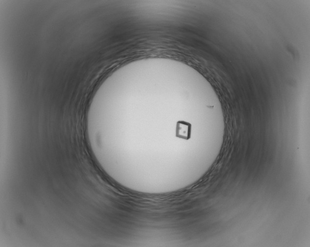 X0000111480756200907141042