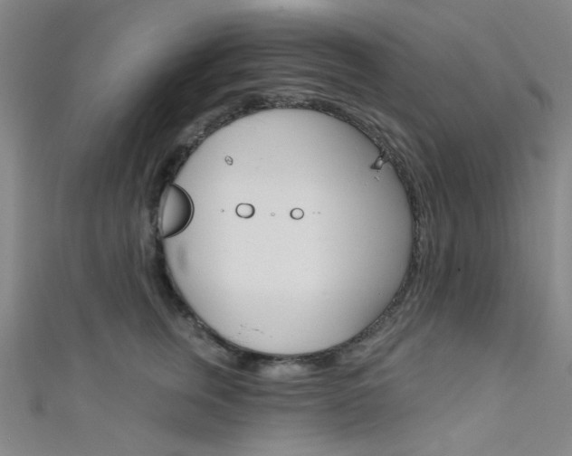X0000111480759200907141042
