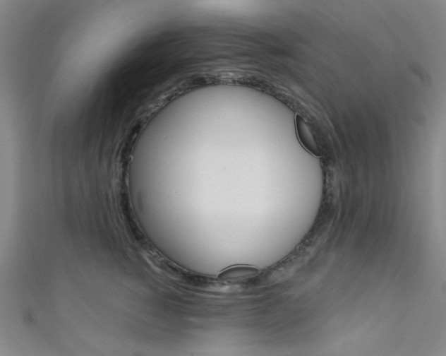 X0000111480760200907141042
