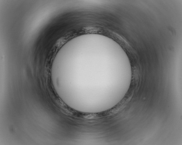X0000111480761200907141042