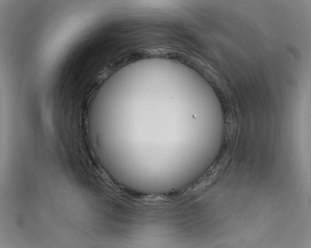 X0000111480762200907141042