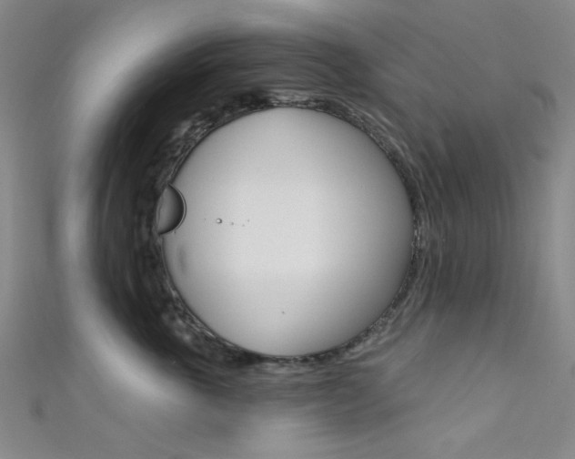 X0000111480763200907141042