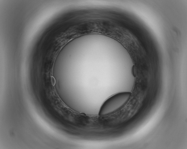 X0000111480766200907141042
