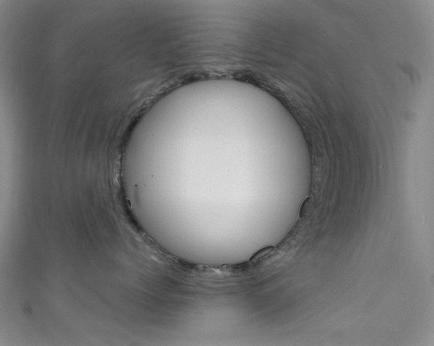 X0000111480768200907141042