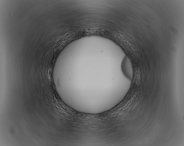 X0000111480770200907141042