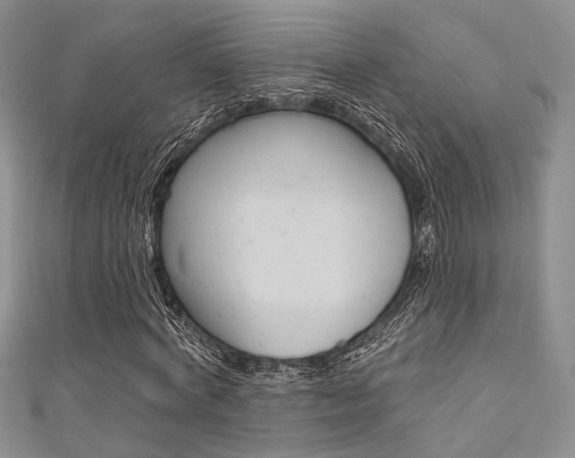 X0000111480772200907141042