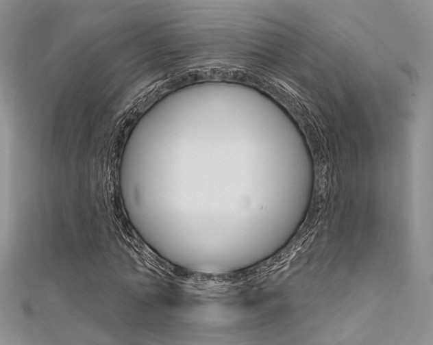 X0000111480774200907141042