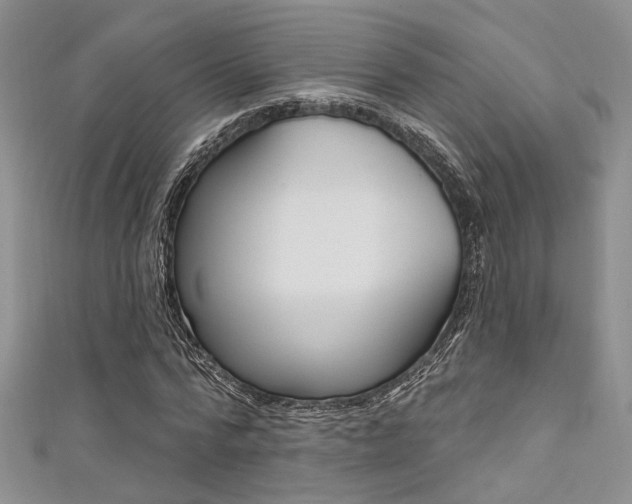 X0000111480776200907141042