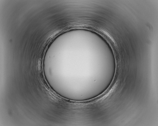 X0000111480777200907141042
