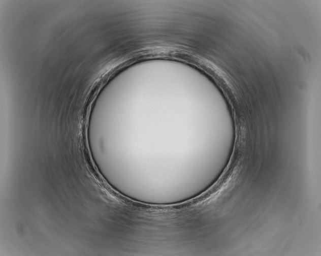 X0000111480778200907141042