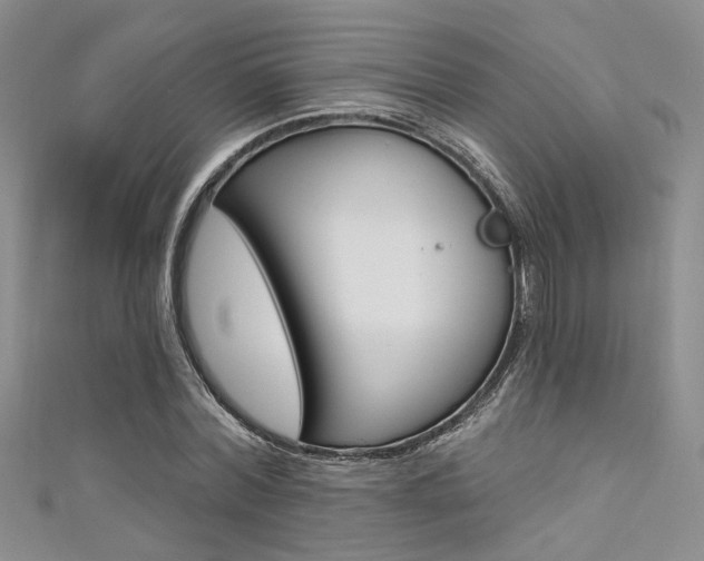 X0000111480780200907141042