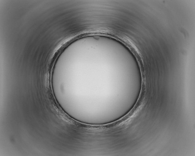 X0000111480781200907141042