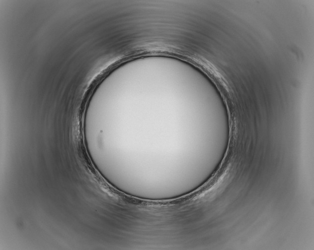 X0000111480782200907141042