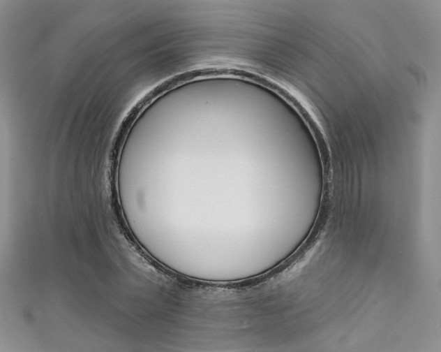 X0000111480783200907141042