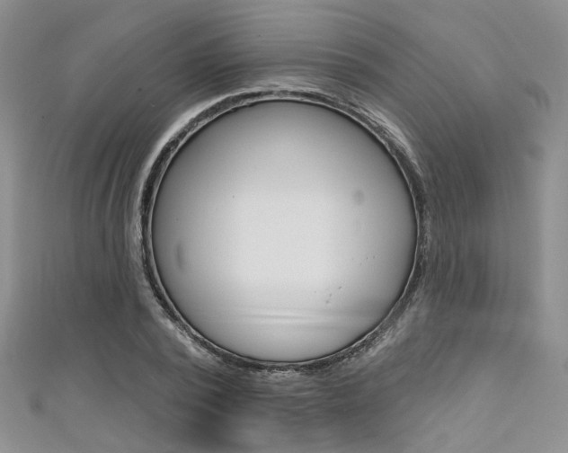 X0000111480784200907141042