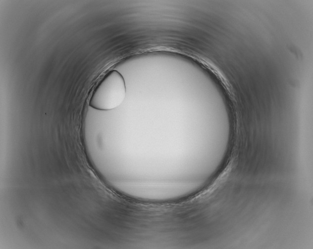 X0000111480785200907141042