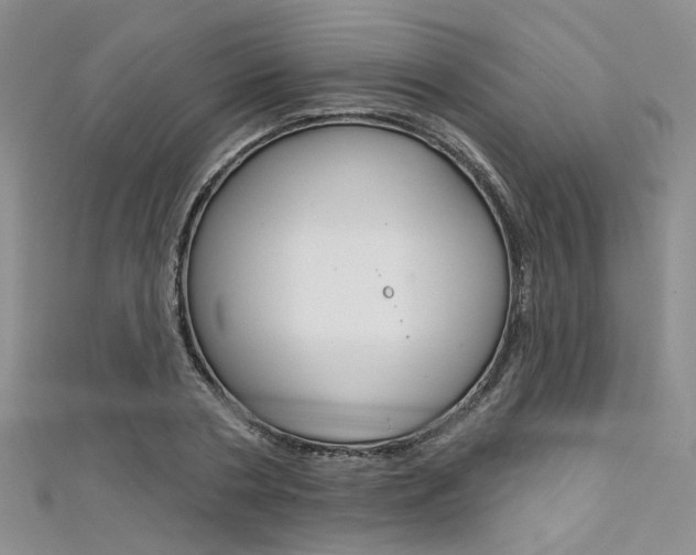 X0000111480786200907141042