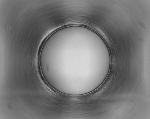X0000111480787200907141042