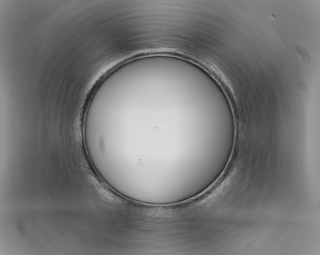 X0000111480789200907141042