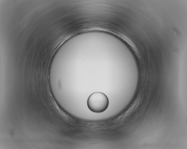 X0000111480793200907141042