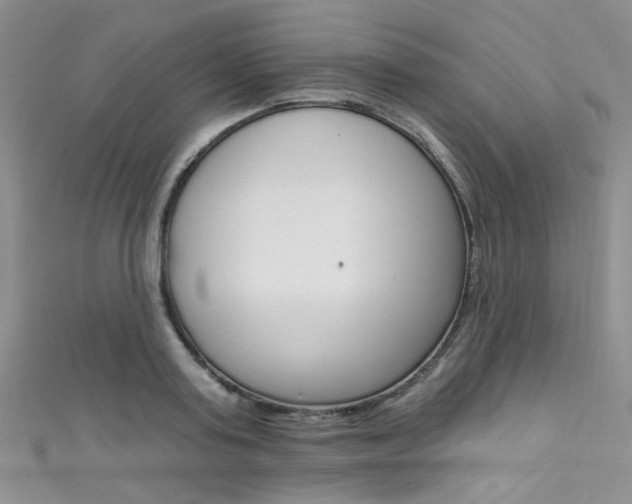 X0000111480795200907141042