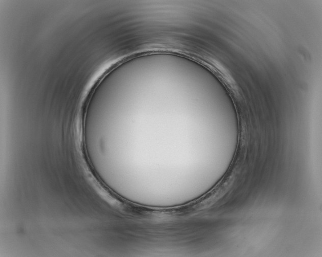 X0000111480796200907141042