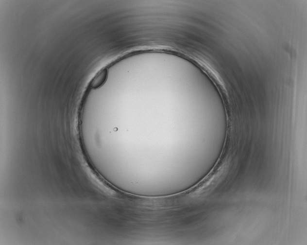 X0000111480797200907141041