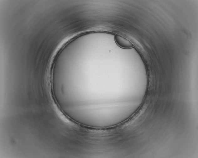 X0000111480800200907141041