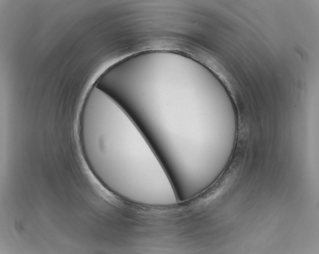 X0000111480803200907141041