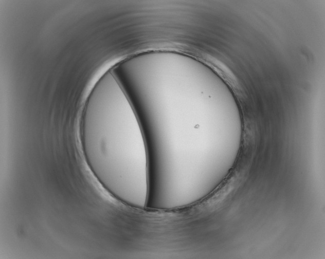 X0000111480804200907141041