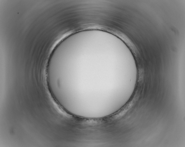 X0000111480806200907141041