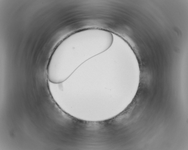 X0000111480807200907141041
