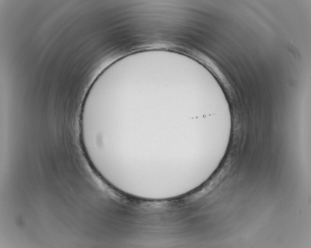 X0000111480810200907141041