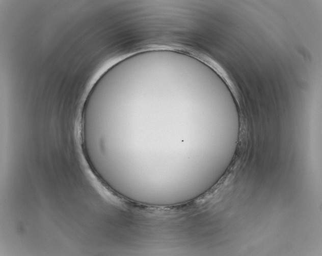 X0000111480811200907141041