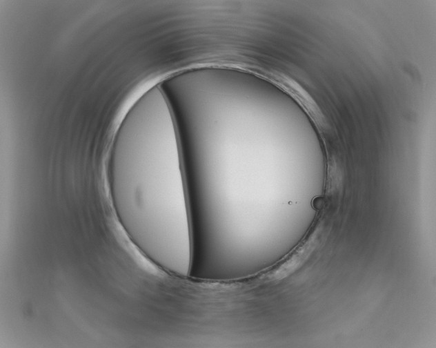 X0000111480812200907141041