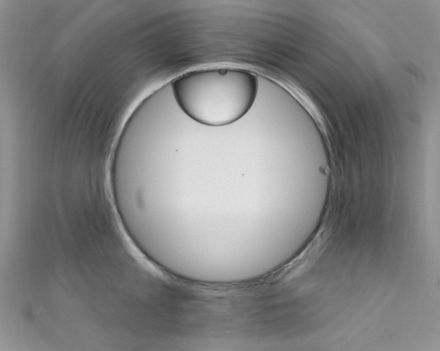X0000111480813200907141041