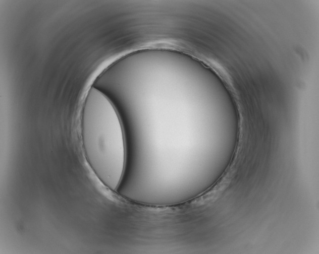 X0000111480816200907141041