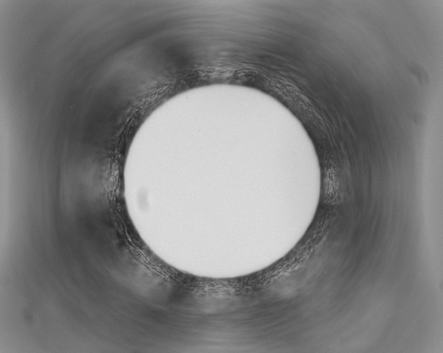 X0000111480820200907141041